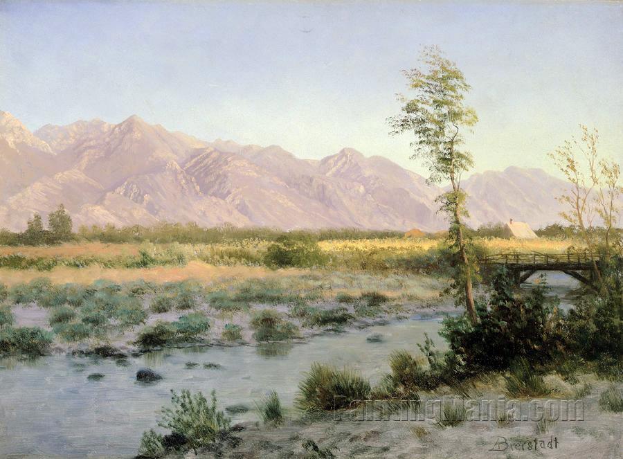 Prairie Landscape