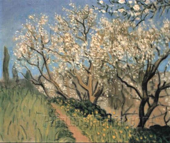 Path under the Almond Trees