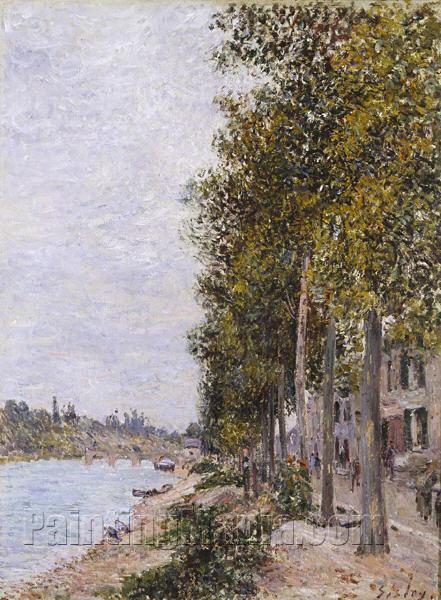 Road Along the Seine at Saint-Mammes