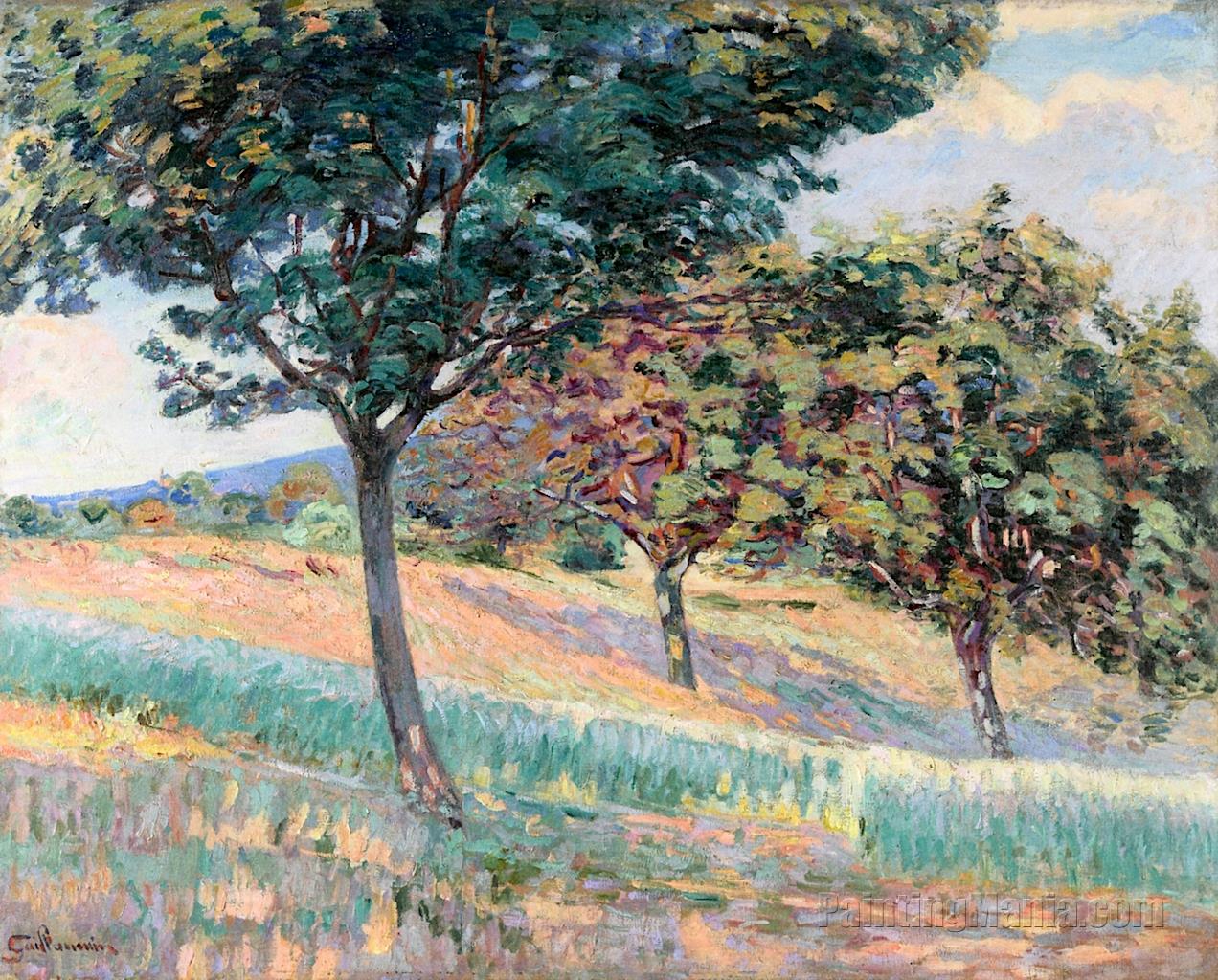 Orchard at the Edge of the Woods in Saint-Cheron