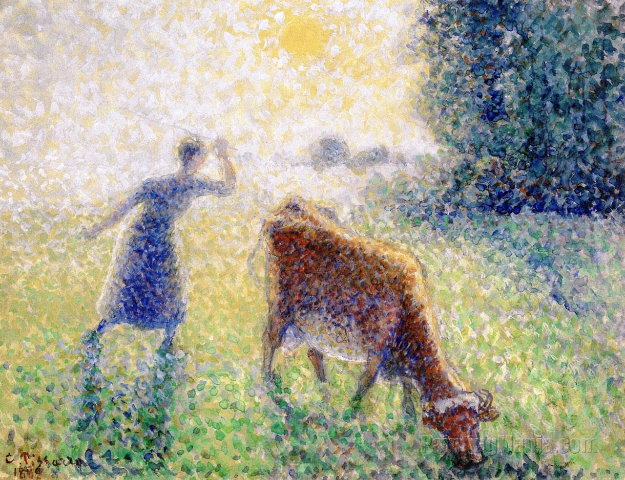 The Dairymaid, Morning, Sunshine