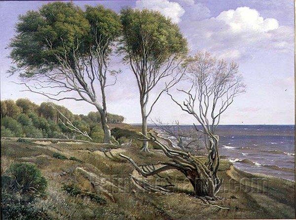 A Coastal Landscape