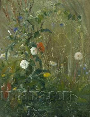 Field flowers and grass patch with poppies, dandelions, and cornflowers