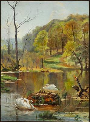 Forest Lake with Swans and Cygnets in the Nest