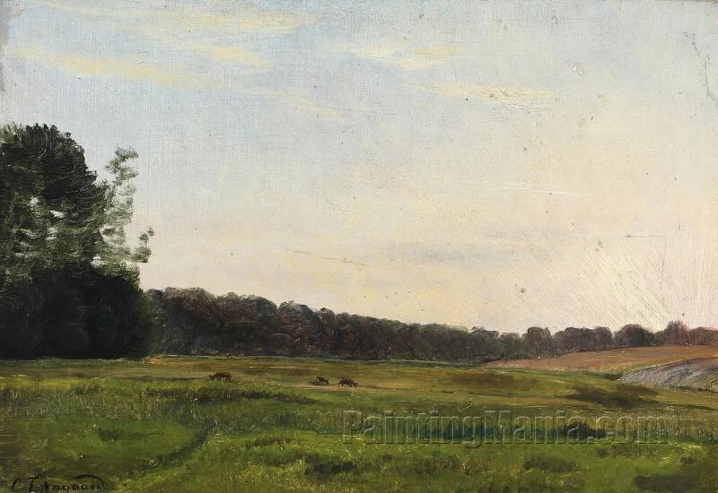 Landscape