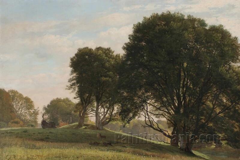 Large Trees in a Hilly Landscape