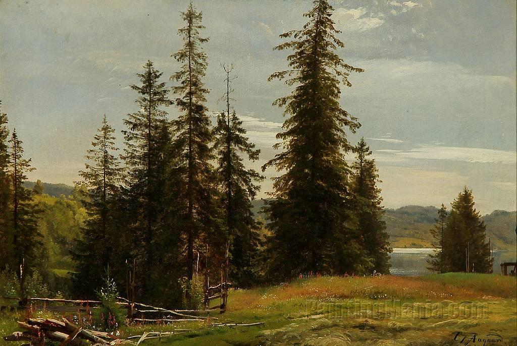 Summer Landscape with Fir Trees by a Lake