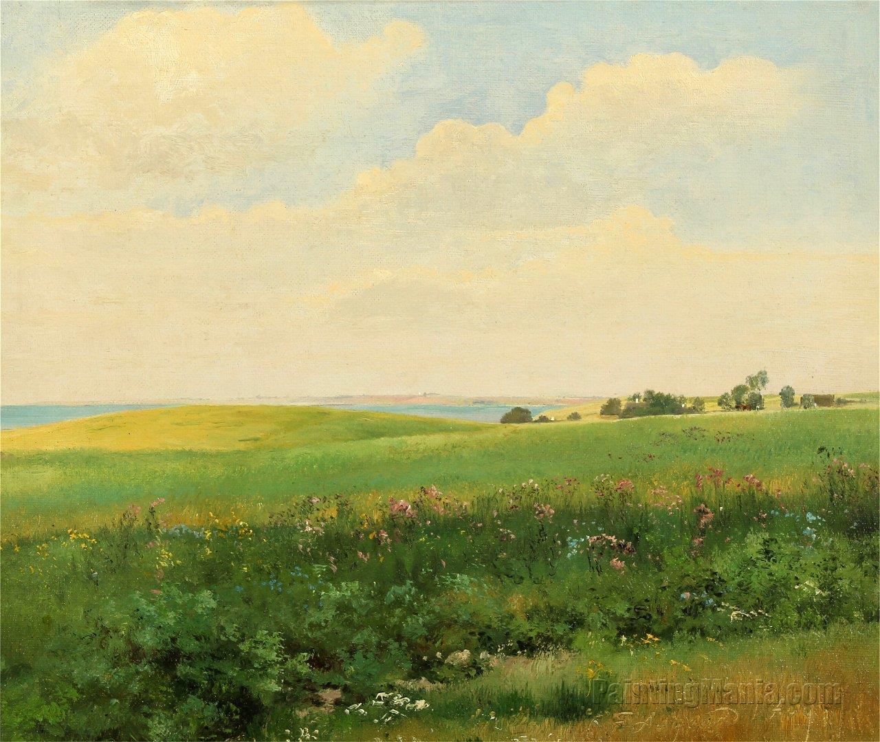 Summer Landscape with Rolling Fields