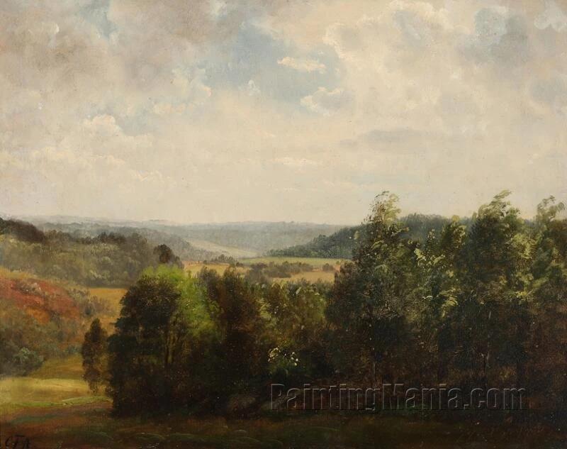 View of a Forest Landscape