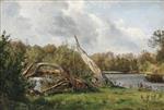 Old willow Trees by an Inland Lake