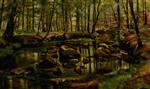 Spring Day in the Woods with Sunlight on the Newly Sprouted Beech Trees