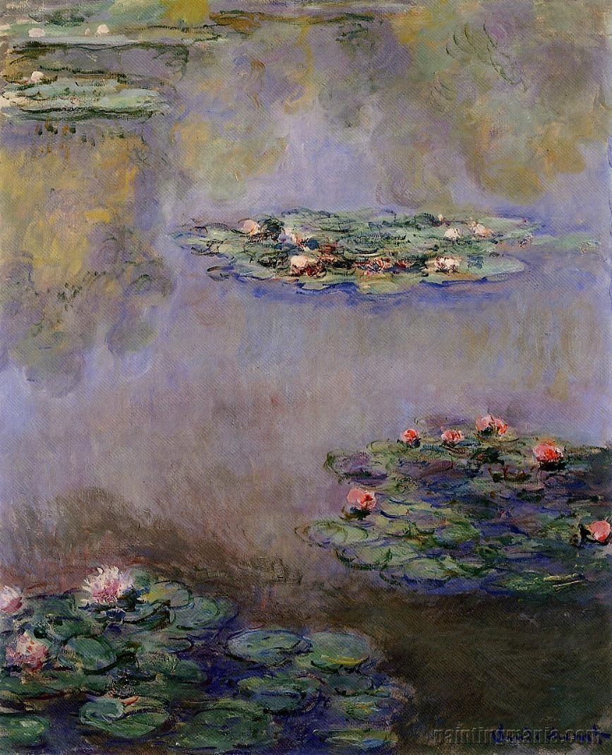 Water Lilies 62