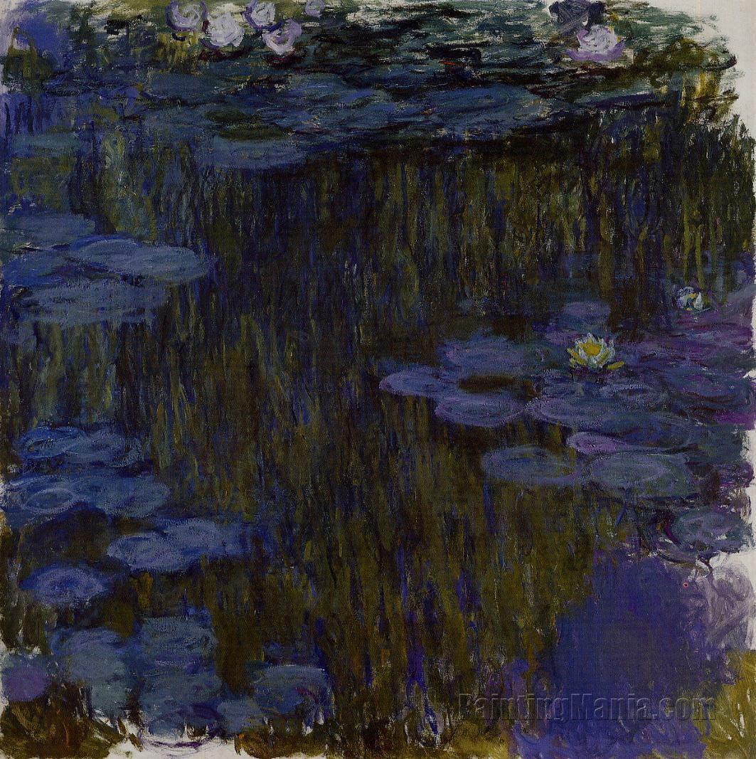 Water Lilies 86