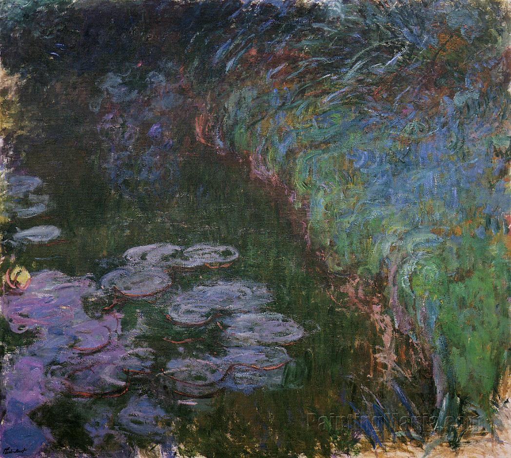 Water Lilies 87