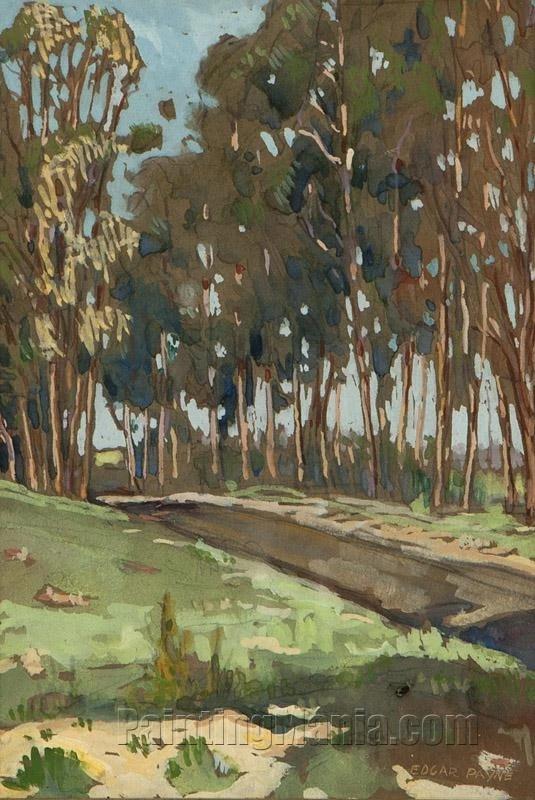 Eucalyptus Grove