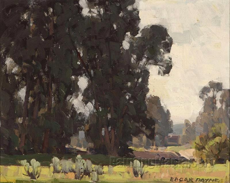 Eucalyptus Landscape 3