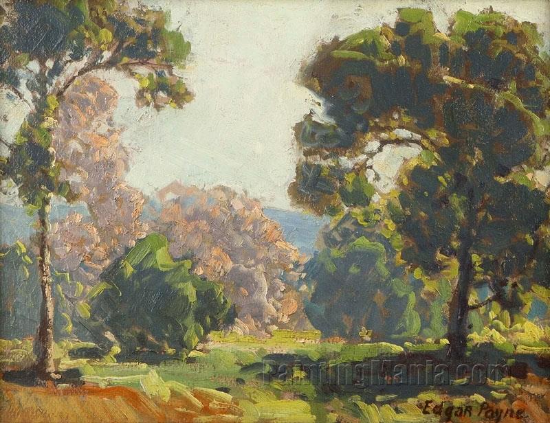 Spring Landscape with Trees