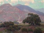 Oaks in Mountain Landscape