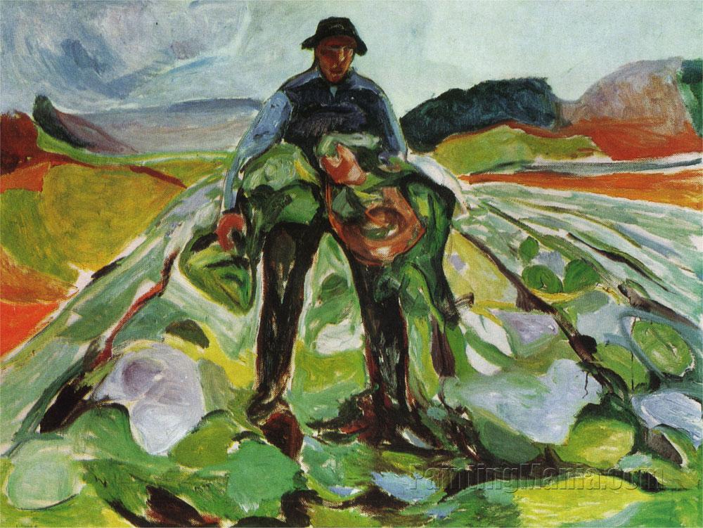 Man in a Field of Cabbages