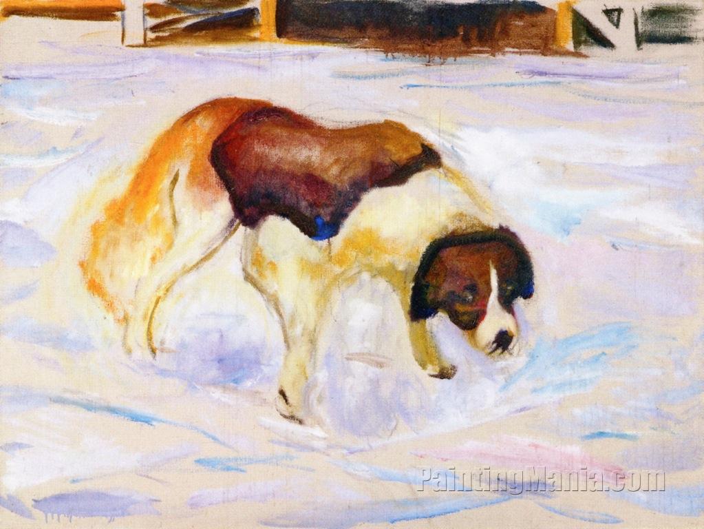 St. Bernard Dog in Snow 1913-1915