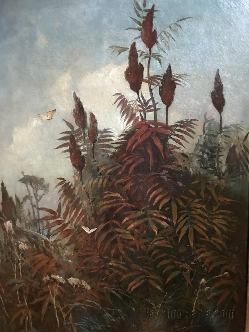 Staghorn Sumac