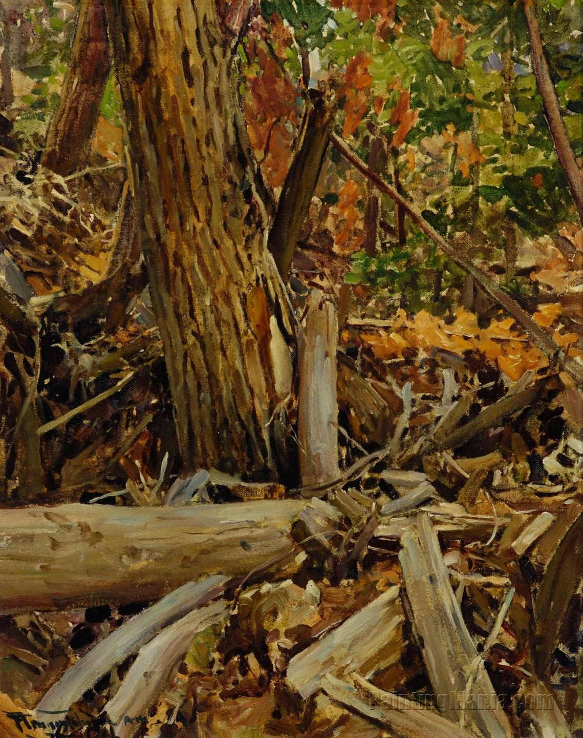 Wind Blown Forest