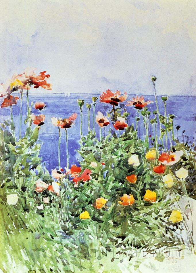 Poppies, Isles of Shoals 1891