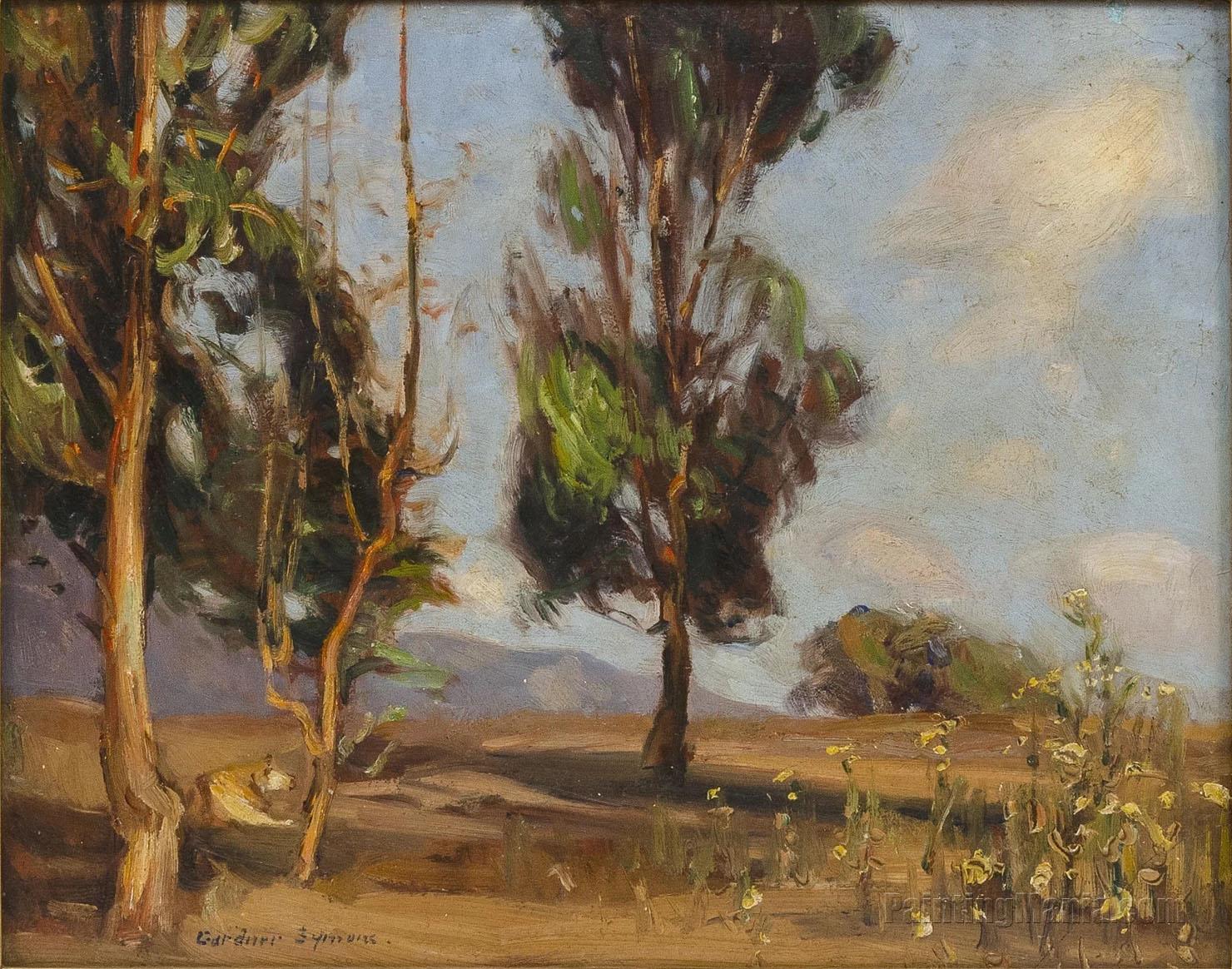 California Landscape