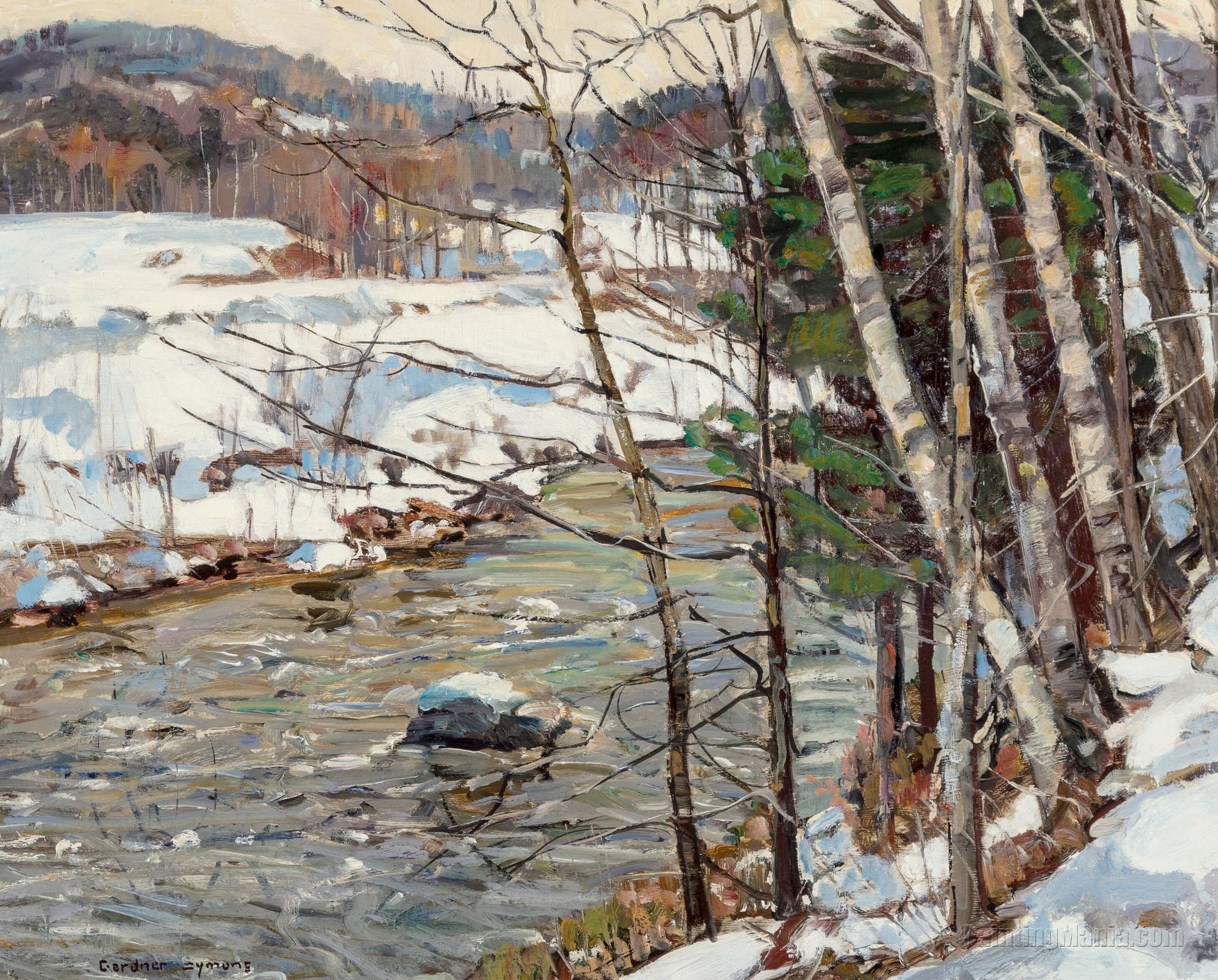 Winter Stream