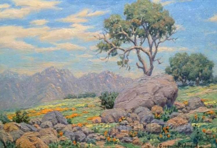 California Landscape with Wildflowers