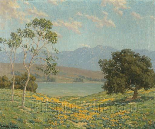 California Meadow