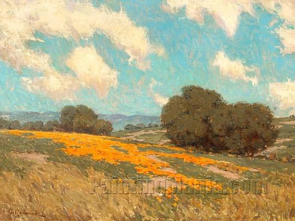 California Poppies 4