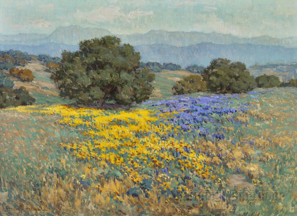 California Poppies and Lupine