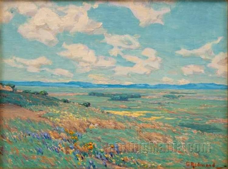 California Poppy Field 1914