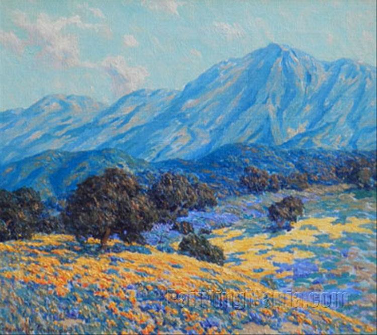 California Poppy Ridge