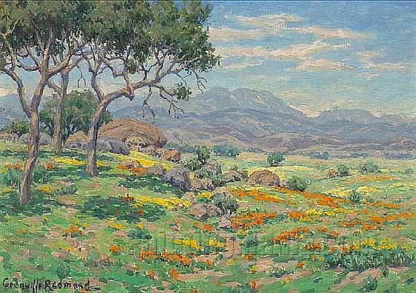 California Wildflowers in an Extensive Landscape