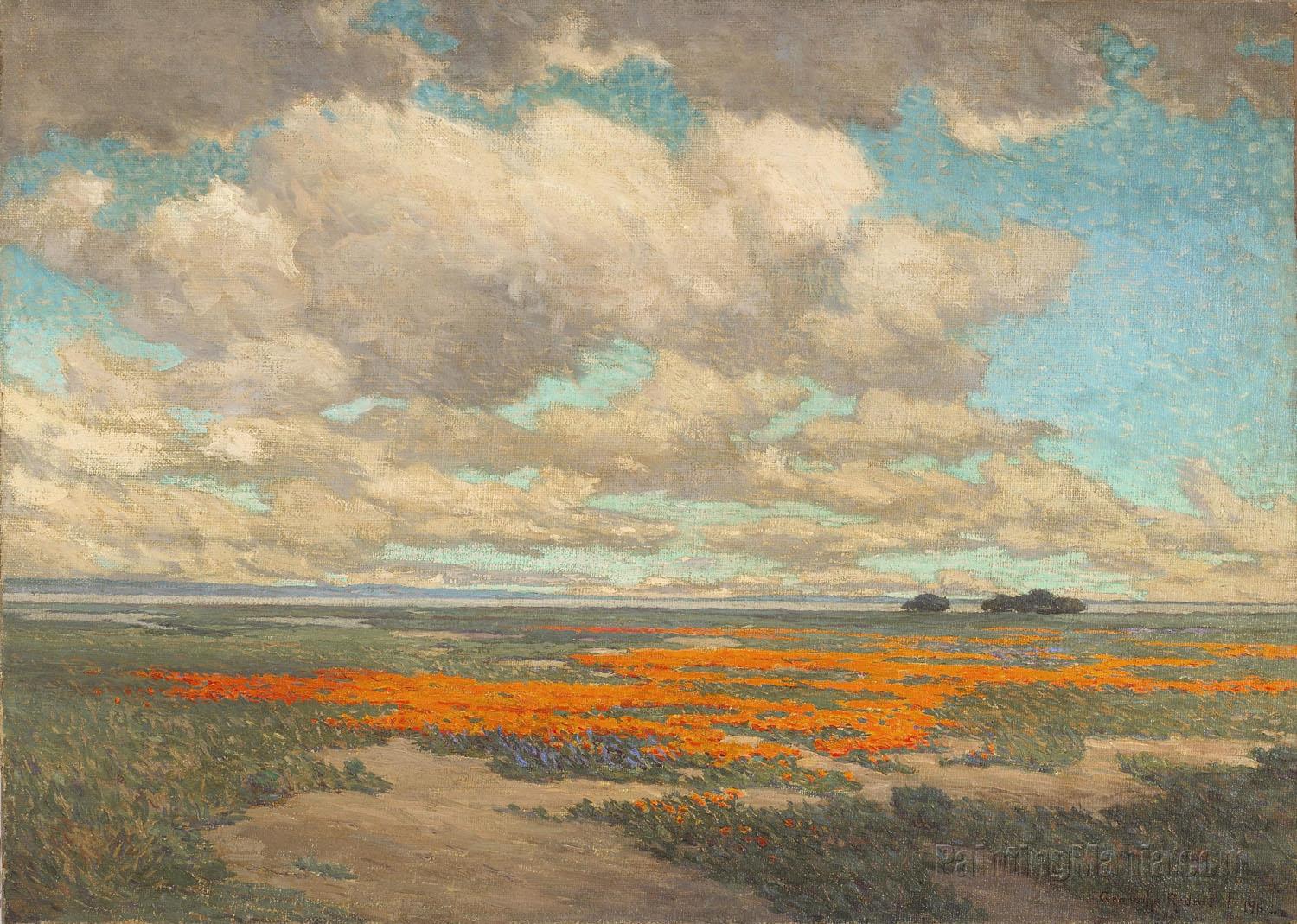 A Field of California Poppies