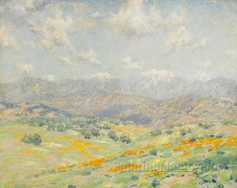 Fields of wildflowers with the San Gabriel Mountains beyond