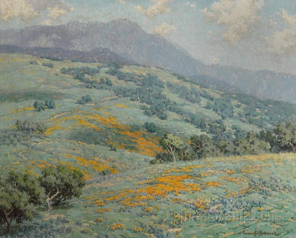 Hillside in Spring