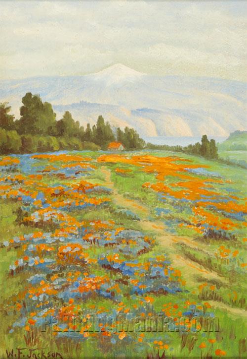 Poppies and Lupine 5