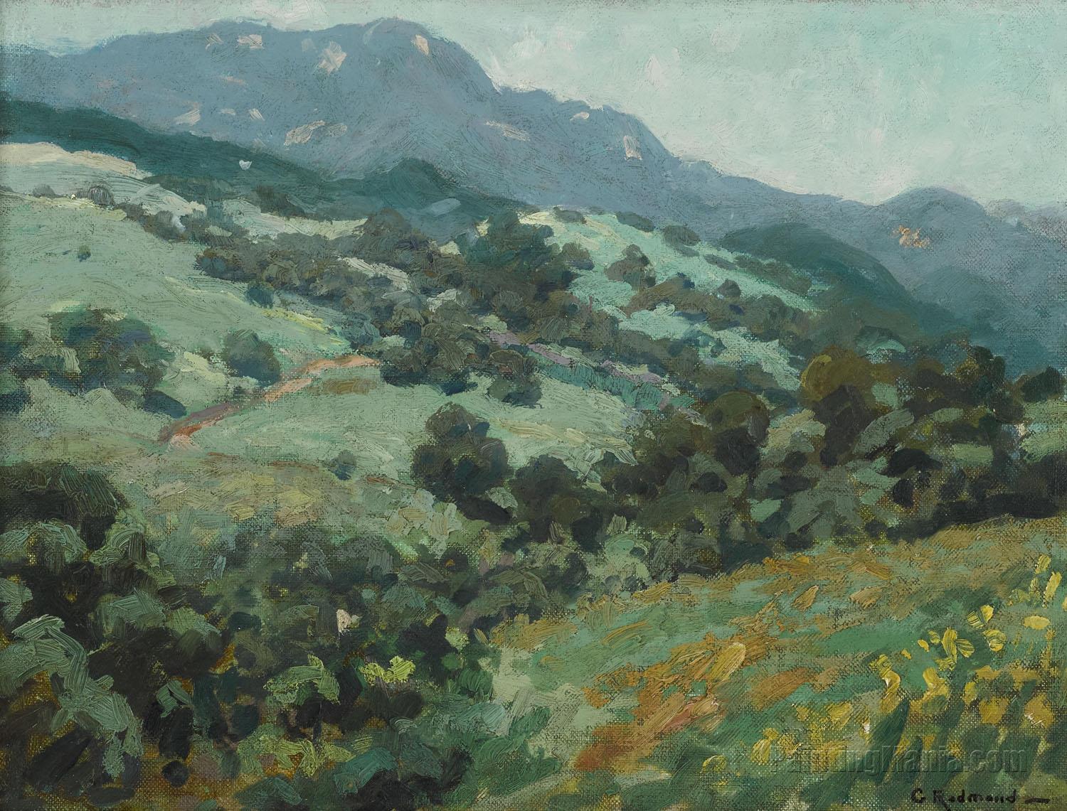 Rolling California Foothills