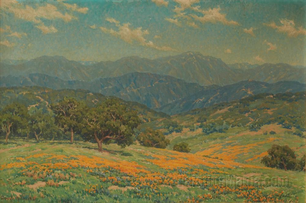 Rolling Hills with California Poppies