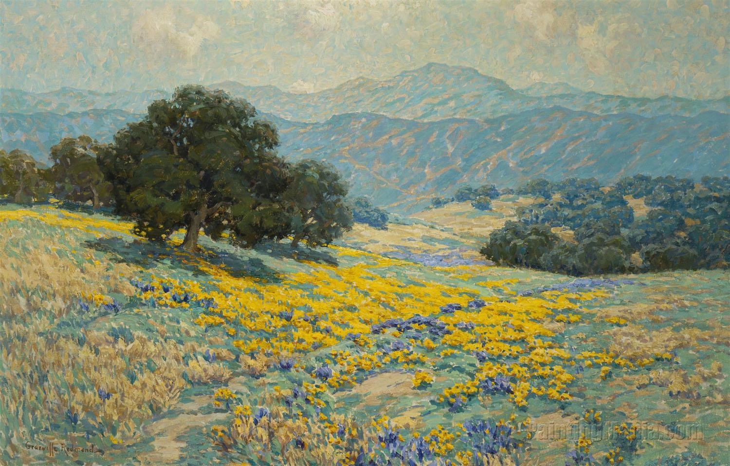 Wildflower Landscape with Poppies and Lupine