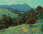 California Hills 2