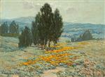 California Landscape with Eucalyptus Trees and Poppies