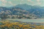 California Landscape with Poppies