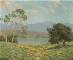 California Meadow