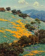 California Poppies 2