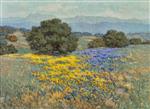 California Poppies and Lupine