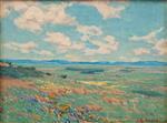 California Poppy Field 1914